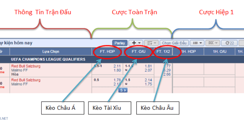 Hướng dẫn cách đặt cược thể thao