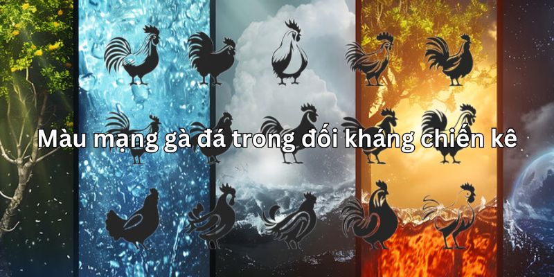 Tìm hiểu về màu mạng gà đá cùng 88clb